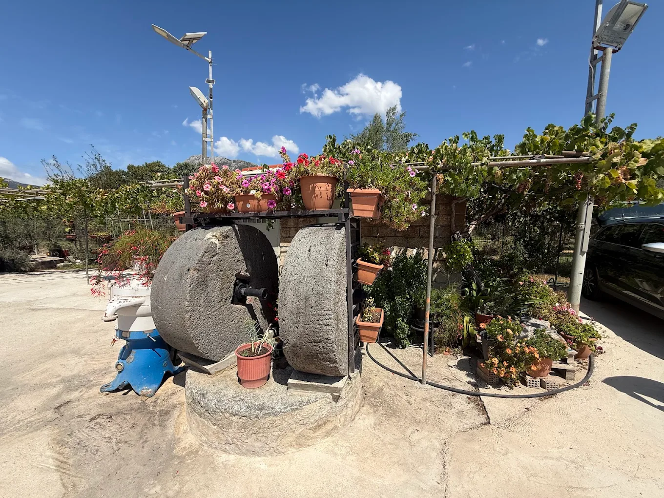 Liberakis Bio Olive Oil Factory Syvros Lefkada — traditional millstones at the entrance